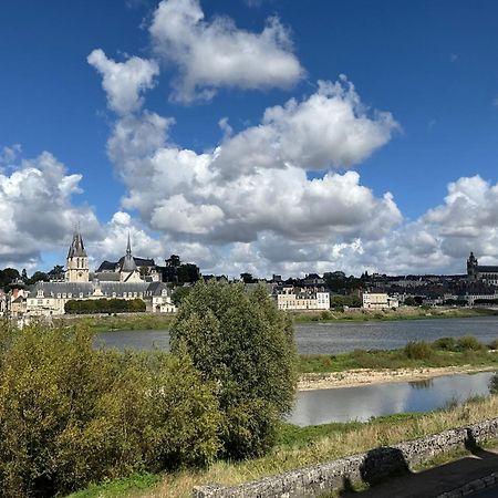 Gites Des Cygnes Vue Sur Loire Et Linge Inclus Blois Eksteriør billede