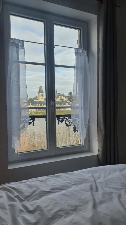 Gites Des Cygnes Vue Sur Loire Et Linge Inclus Blois Eksteriør billede