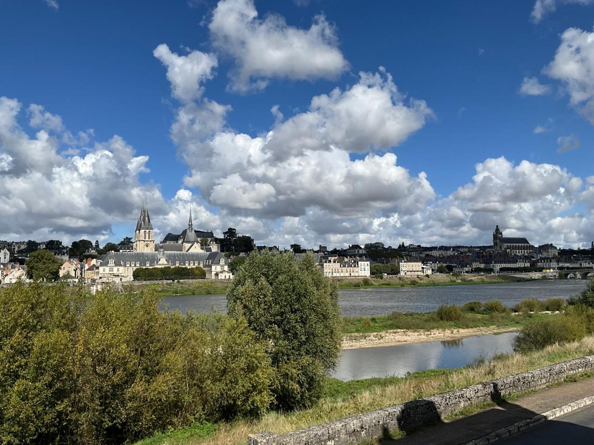 Gites Des Cygnes Vue Sur Loire Et Linge Inclus Blois Eksteriør billede